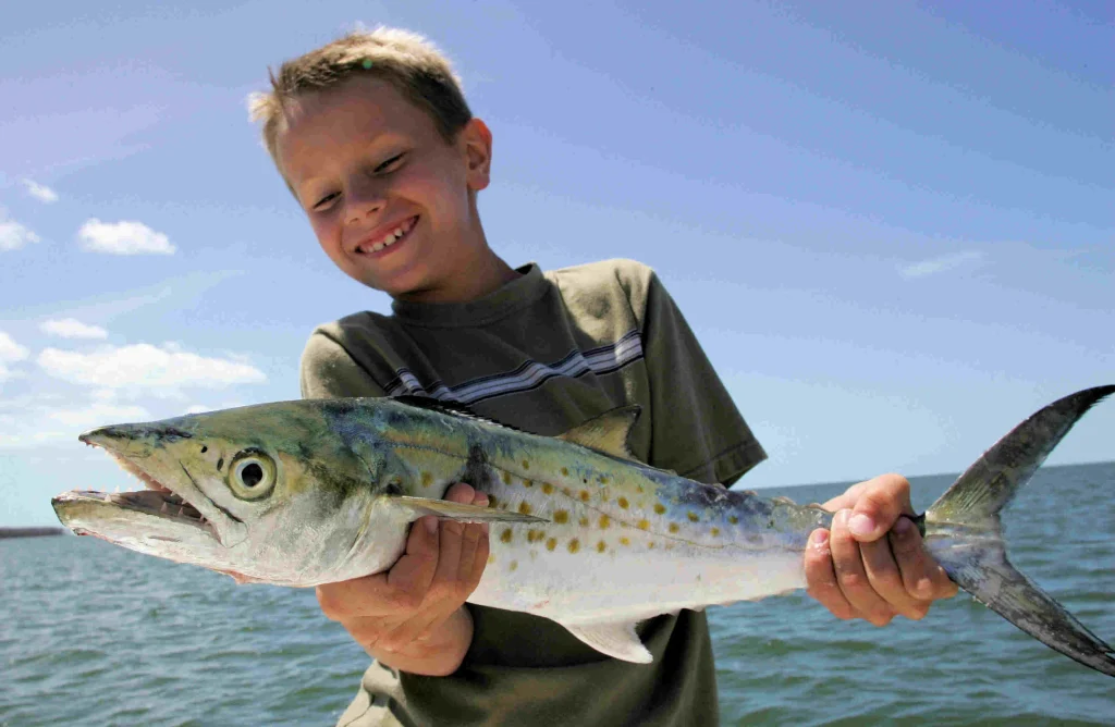 Spanish mackerel