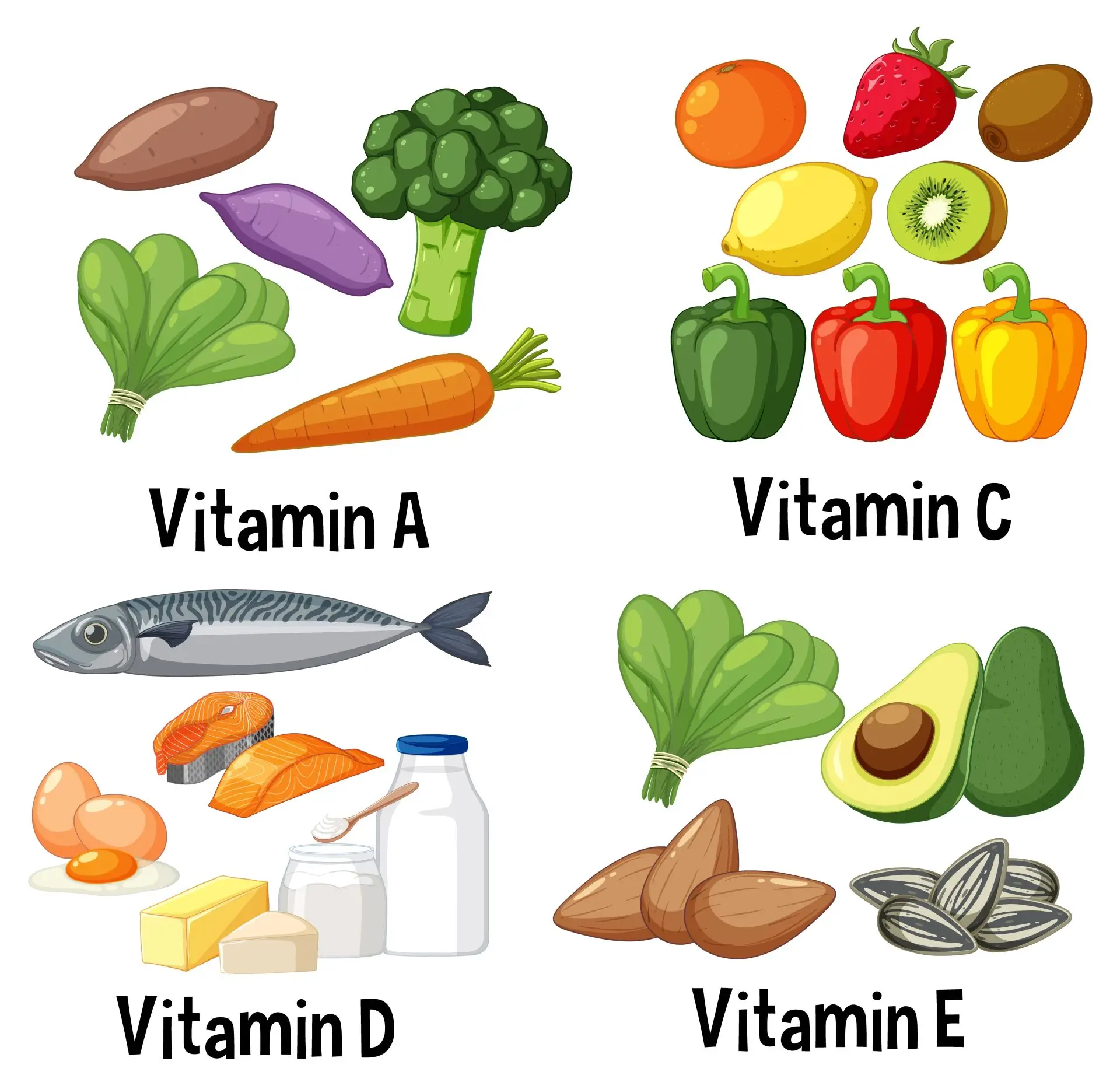 different vitamins