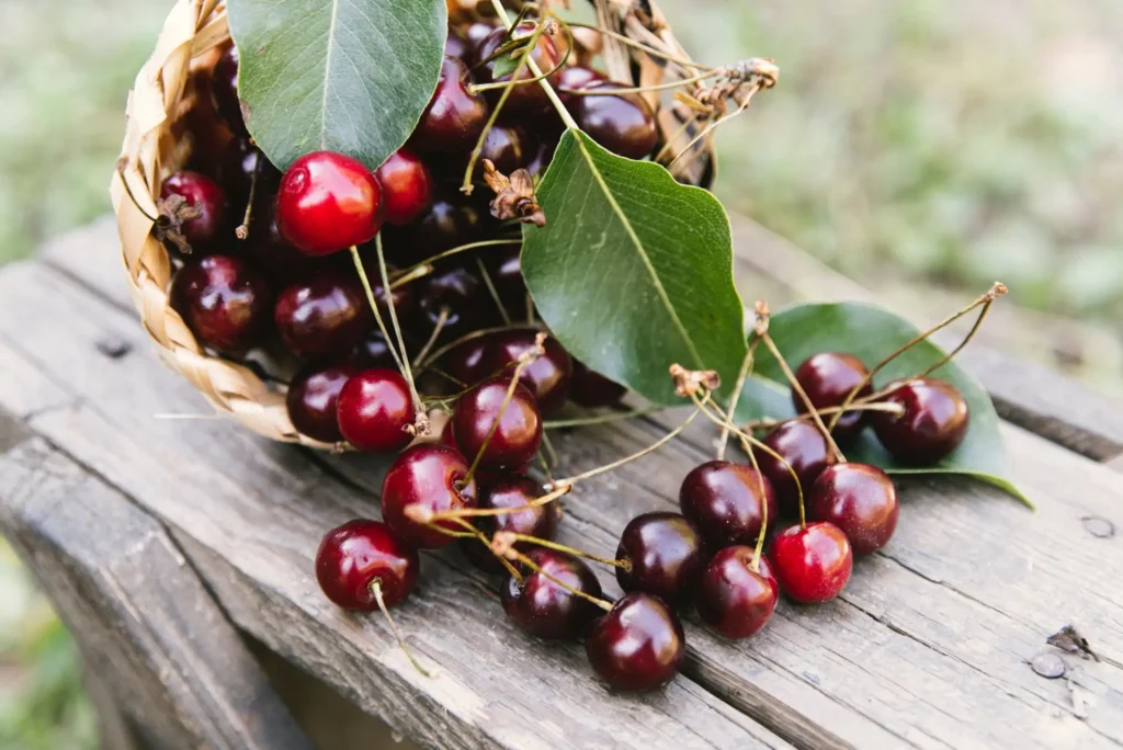 Cherries: Blood Pressure Benefits